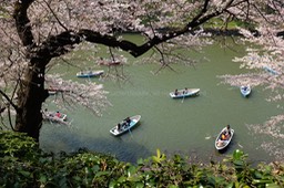 Boating in Kitanomaru Park, Tokyo