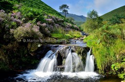 Fairbrook Naze 2 - Version 2