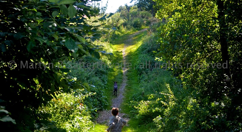 Walking carefee along a woodland  path . Images of England