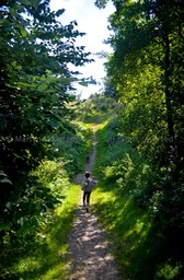 Walking carefee along a woodland  path . Images of England