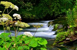 waterfall on the river Dove - Version 2